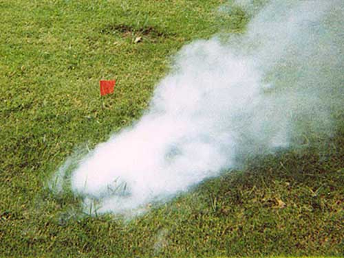 Mainline Sewer Smoke Testing Sewer smoke testing to find inflow and infilitration